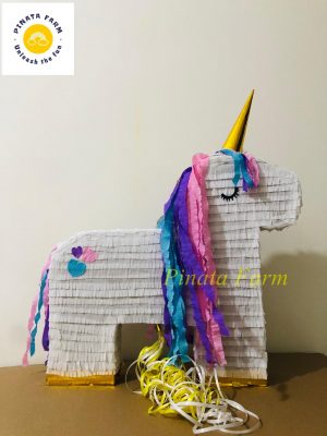 pinata
